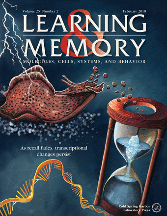 A Dominican University student created the artwork for the February issue of Learning & Memory, which features groundbreaking research on the science of forgetting by professors and students at the university's Behavioral Neuroscience lab. (Learning & Memory)