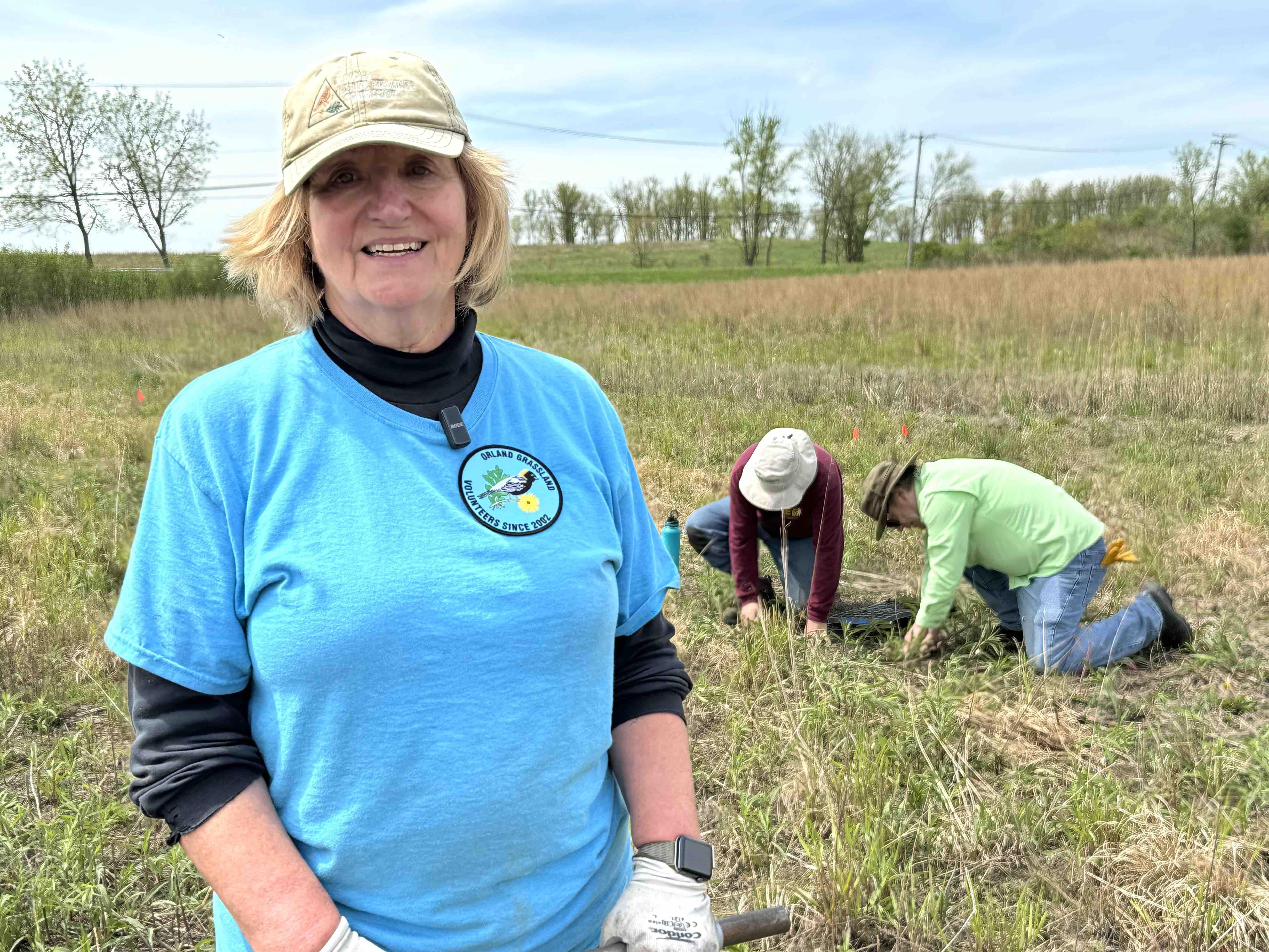 Volunteer site steward Pat Hayes has spent two decades helping restore Orland Grassland. A seed nursery is a dream come true for her, she said. Here, Hayes helps create the wild seed garden, May 7, 2025. (Patty Wetli / WTTW News)