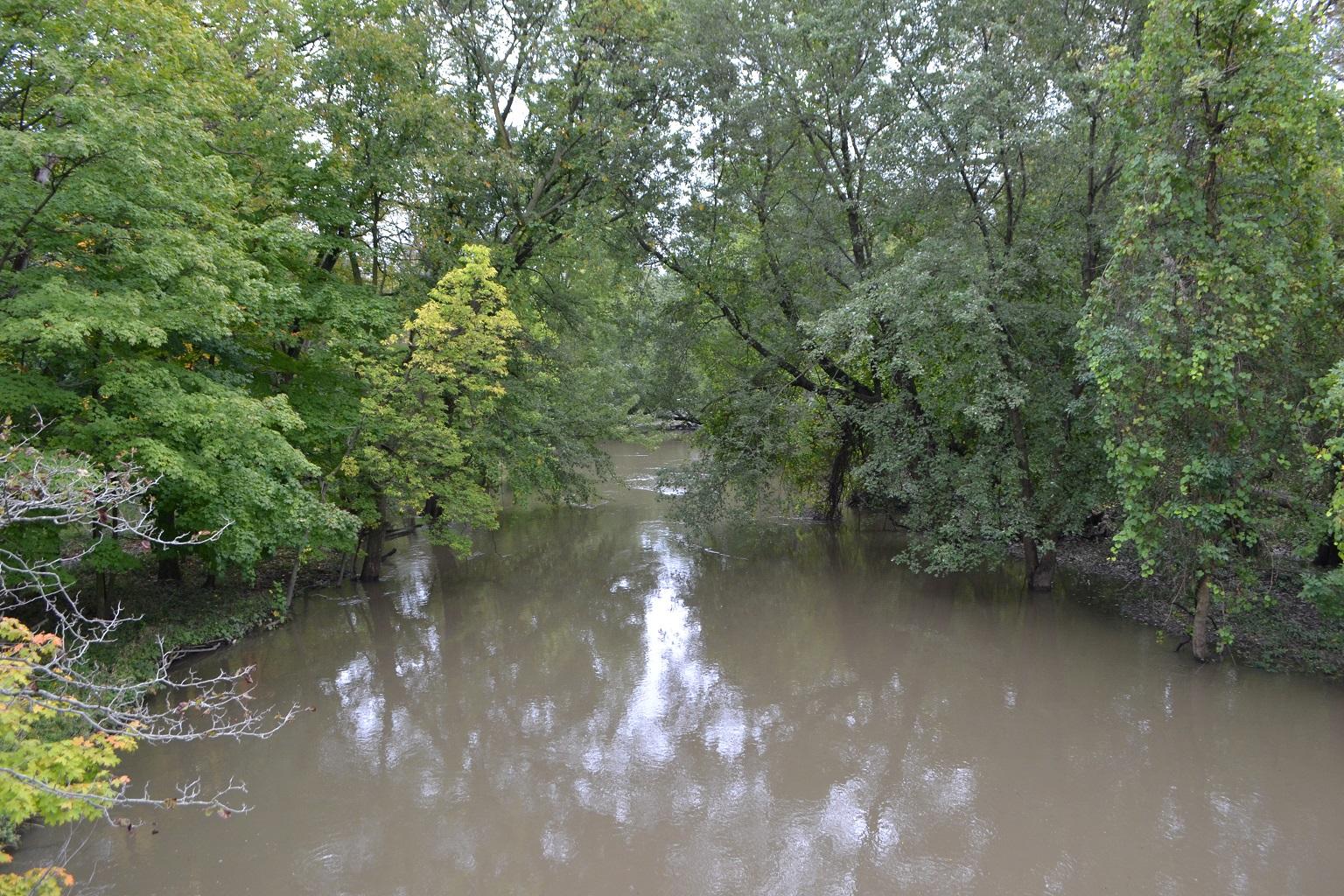 A section of the North Branch of the Chicago River in Edgebrook on Oct. 2, 2018 (Alex Ruppenthal / Chicago Tonight)