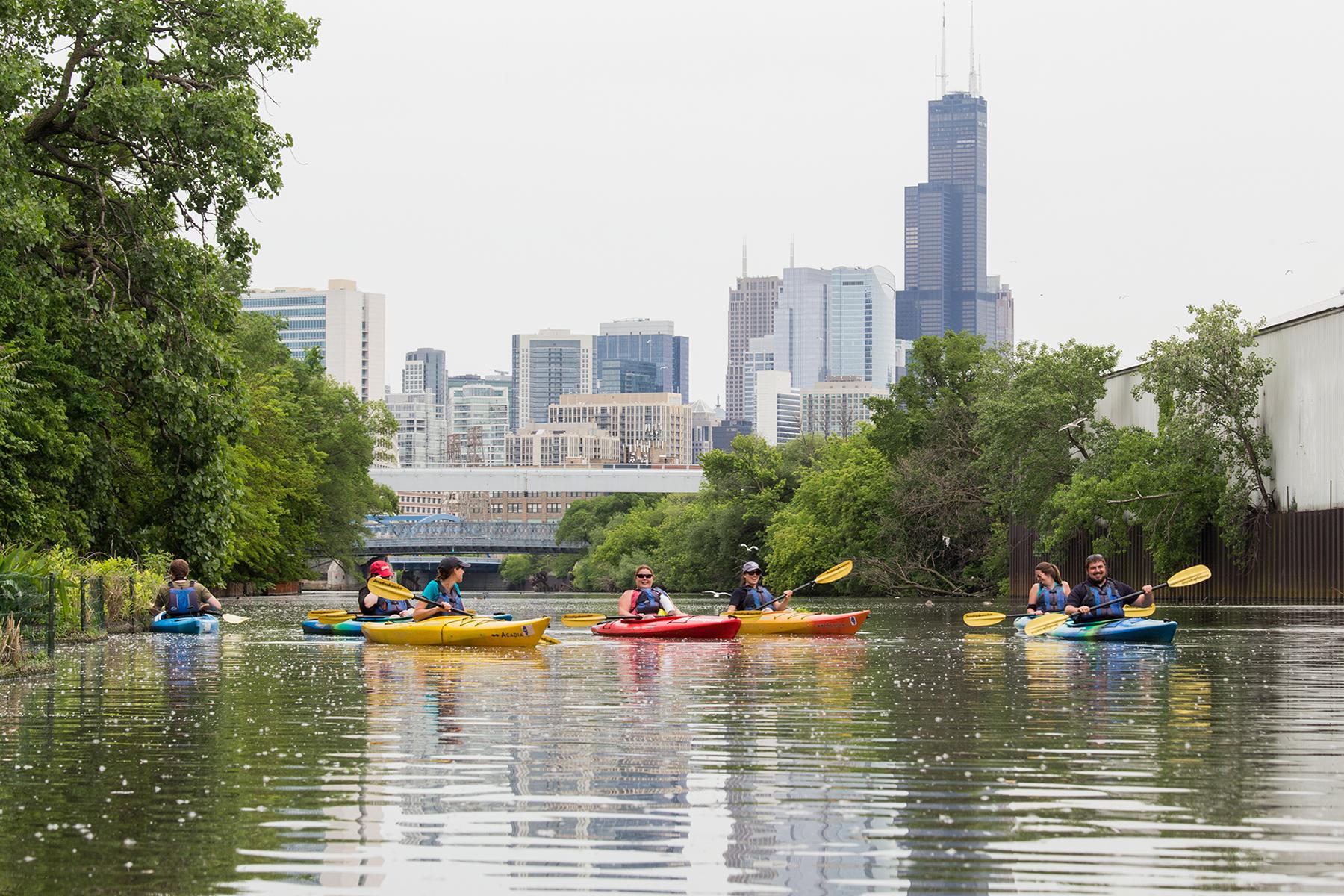 Shedd Aquarium's new Kayak for Conservation program aims to introduce residents to the Chicago River ecosystem and the wildlife that call the waters home. (Hilary Wind / Shedd Aquarium)