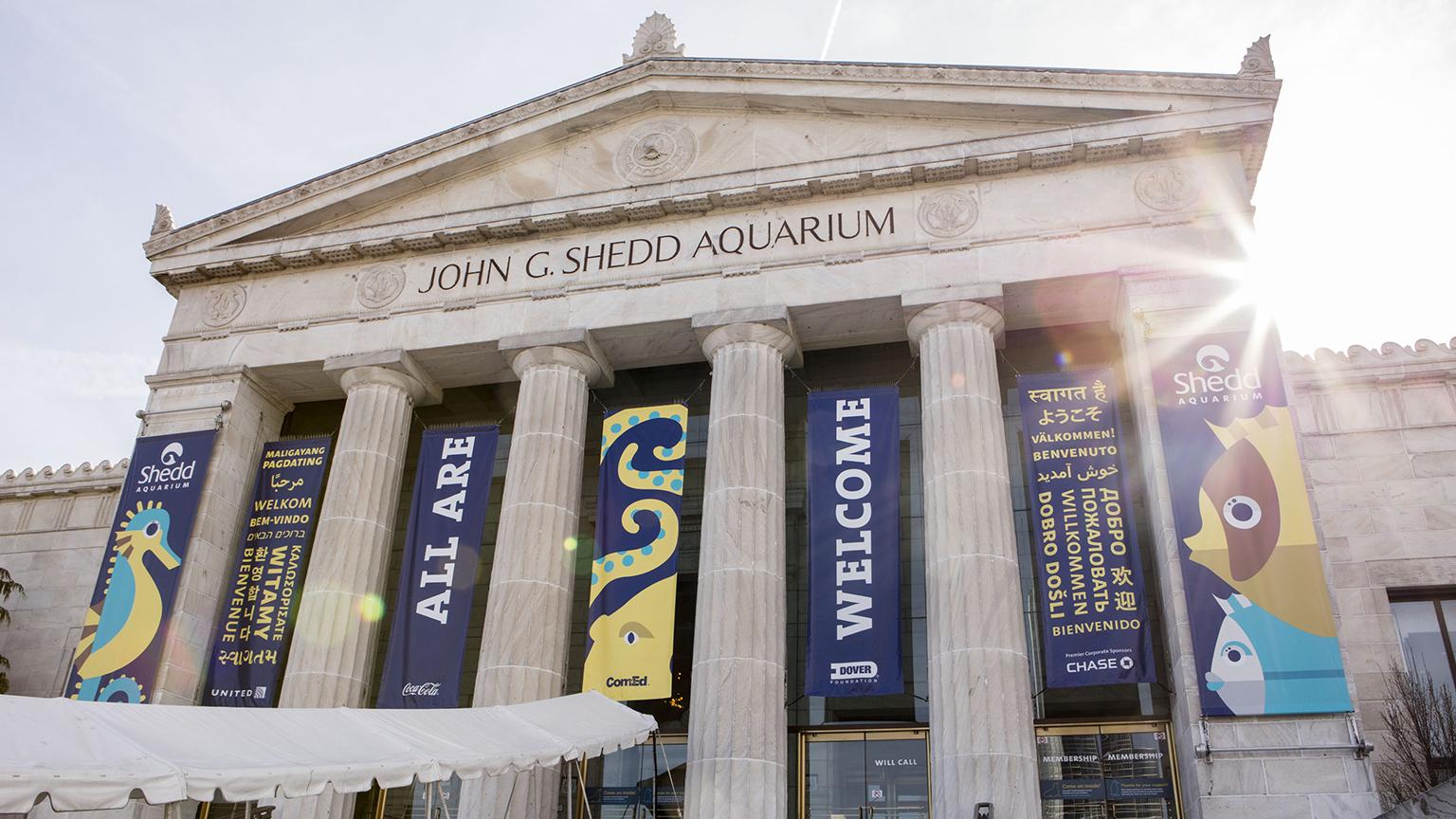 Shedd Aquarium is one of the museums and cultural institutions in Chicago offering free admission to affected government workers during the federal shutdown. (Brenna Hernandez / Shedd Aquarium)