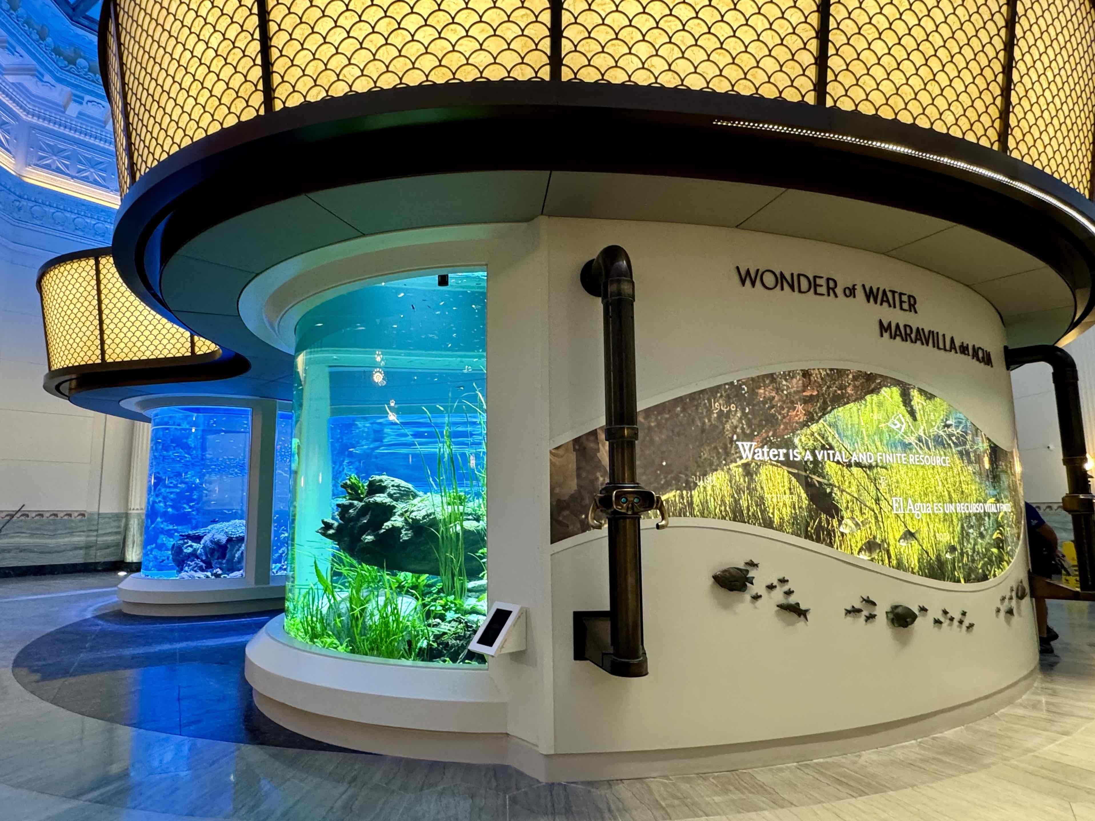 Brass fixtures — like the exhibit’s fully functional periscopes, which offer a look at live camera feeds inside the tanks — are a nod to Shedd’s history in an otherwise contemporary exhibit. (Patty Wetli / WTTW News)
