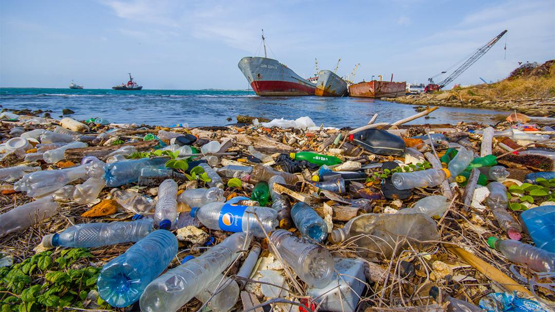 Plastic Water Bottles On The Beach Left By Tourists. Pollution In