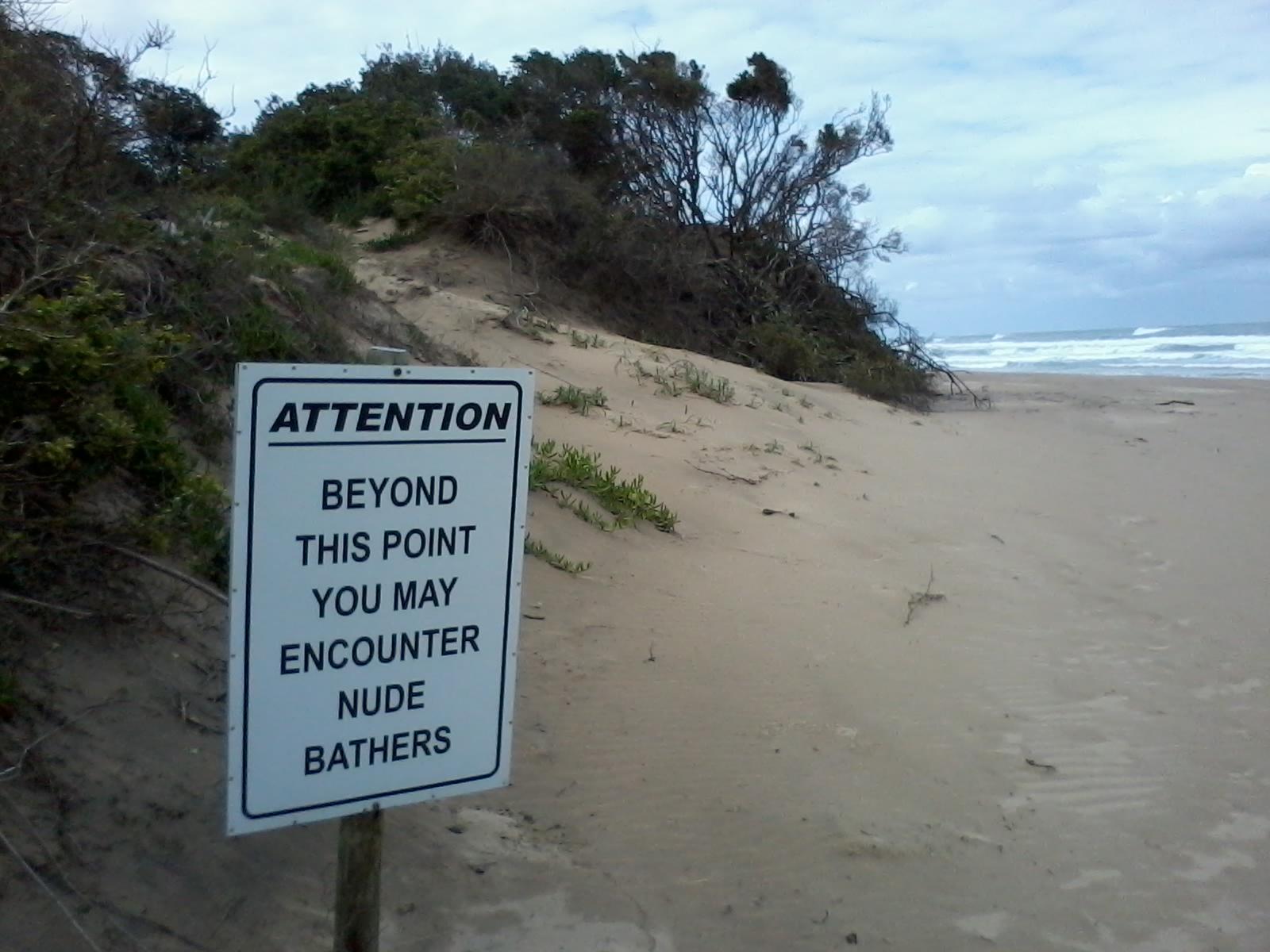 are dogs allowed at foster beach chicago