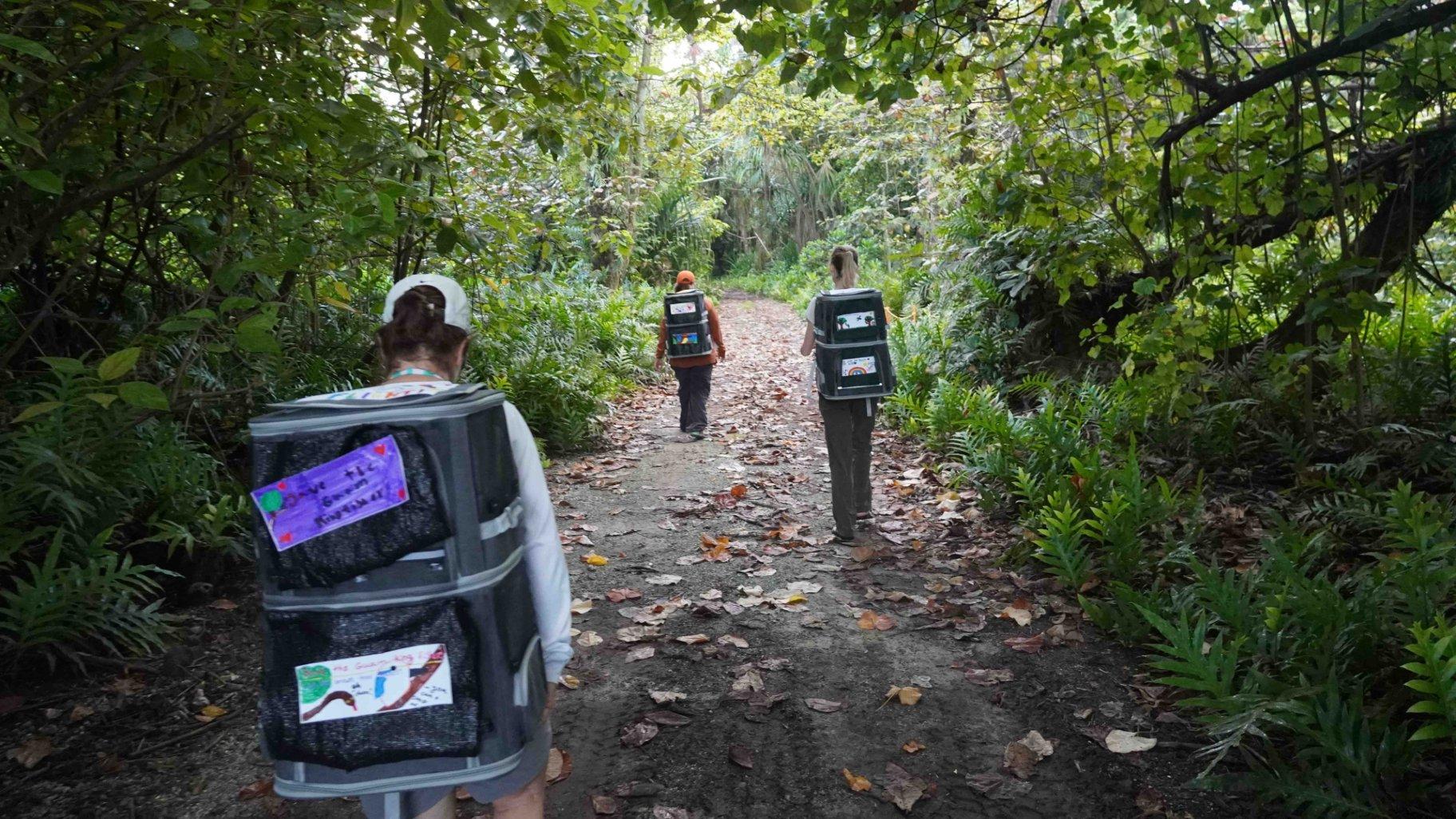 Siheks are transported to a temporary aviary where they will acclimatize before their release. (Thomas Mangloña / KUAM)