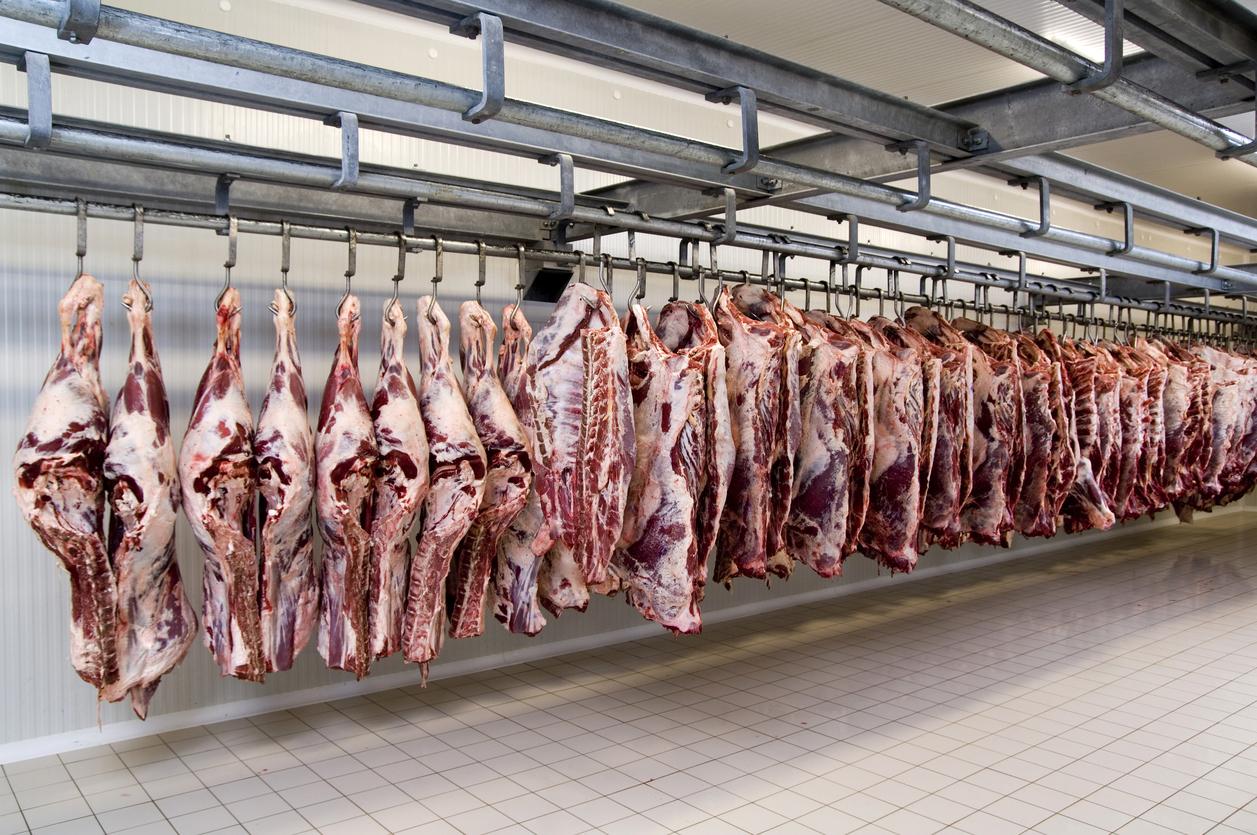 A beef-processing plant (istanbulimage / iStock)