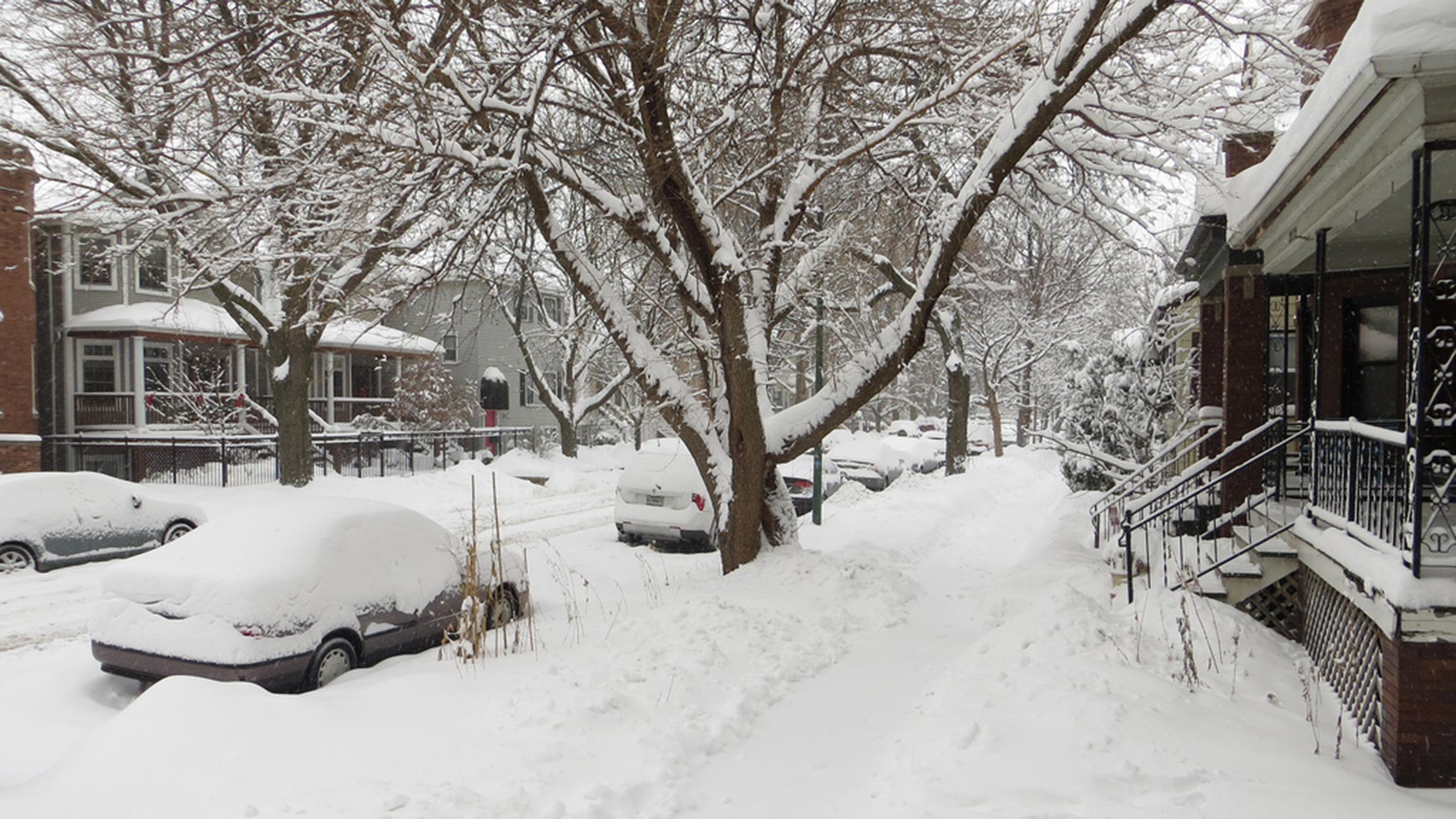 Snow blankets cars and everything else in its way in a Chicago street in January 2014. (Maggie Not Margaret / Flickr)