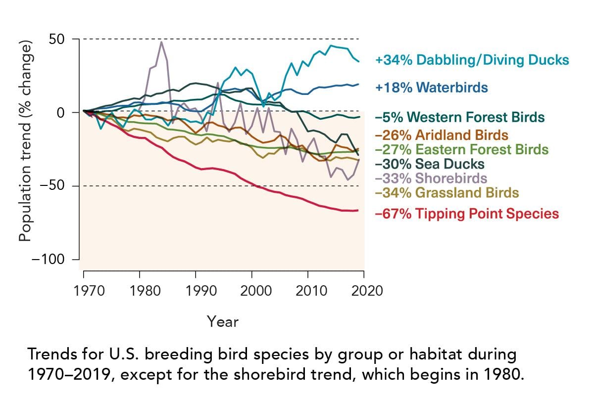 (North American Bird Conservation Initiative)