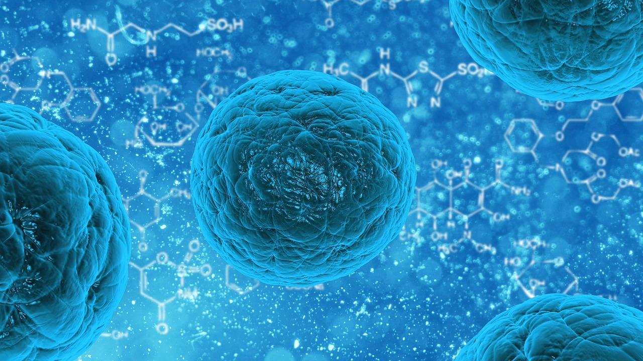 UIC Launches Stem Cell, Regenerative Medicine Center Biology Diagrams