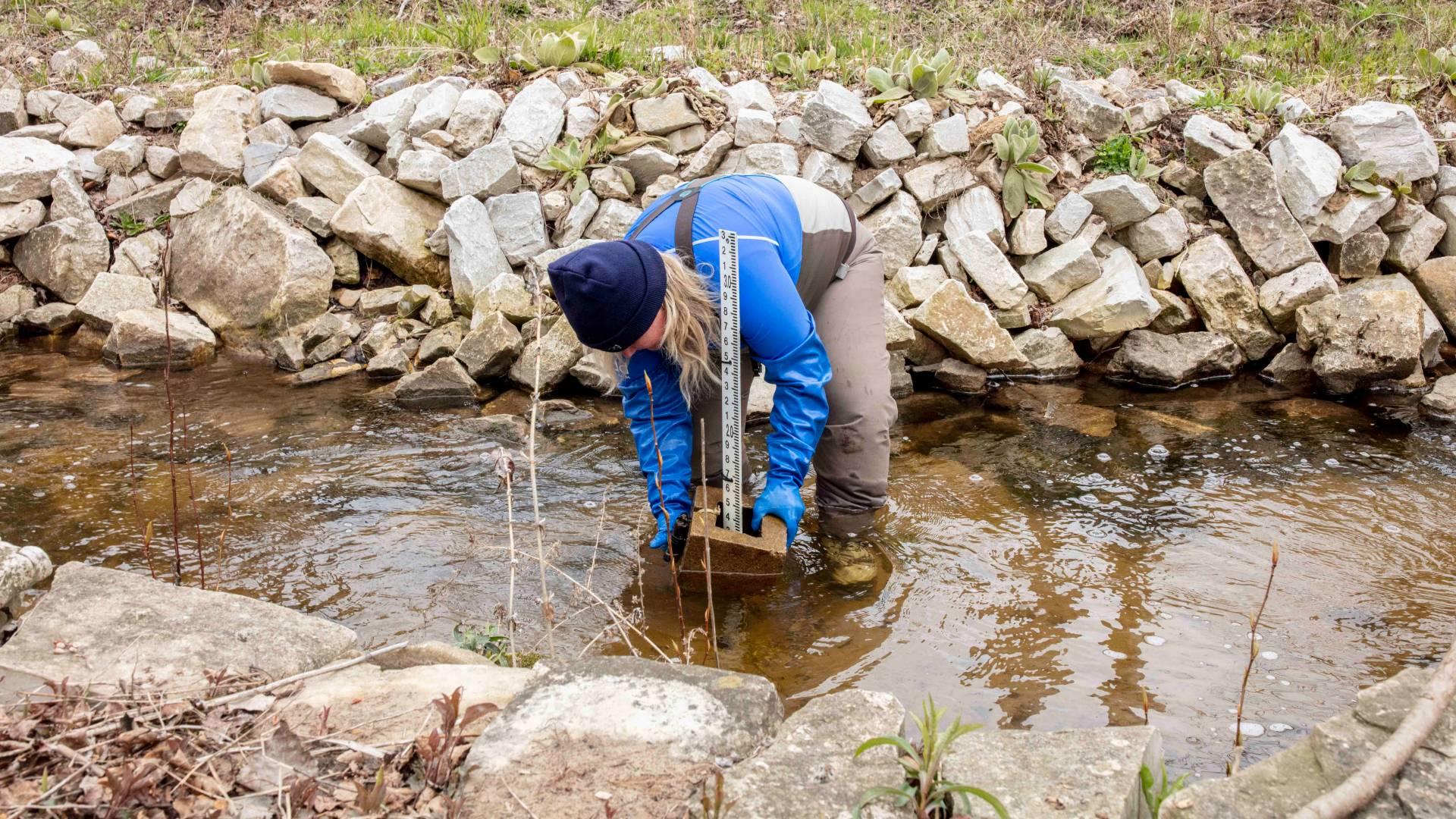 Karen Murchie places a depth ruler in a stream in advance of sucker fish migration. (Courtesy Shedd Aquarium)