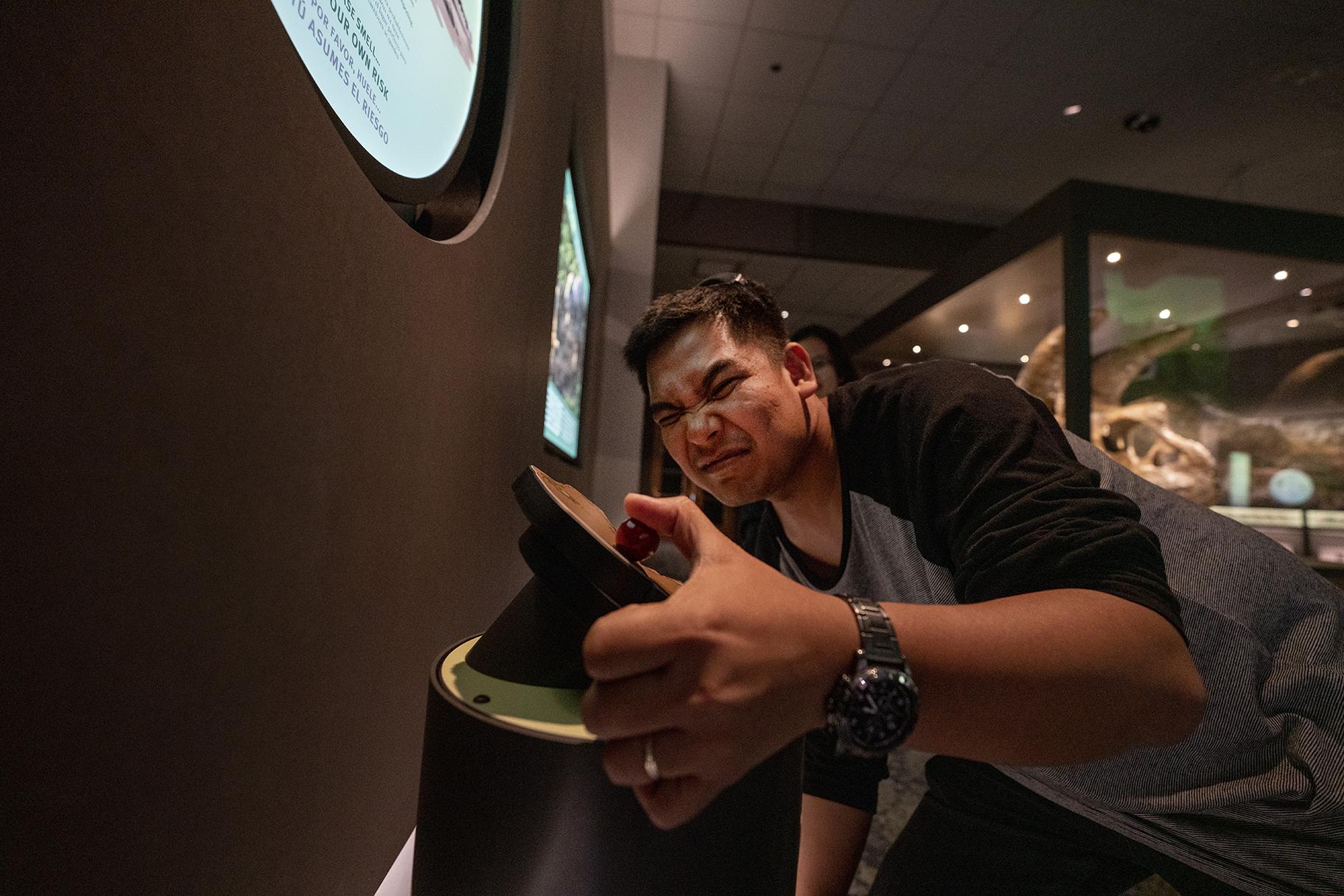 New sensory features allow Field Museum visitors to smell the rotting-flesh stench of Sue the T. Rex’s breath. (Martin Baumgaertner / Field Museum) 