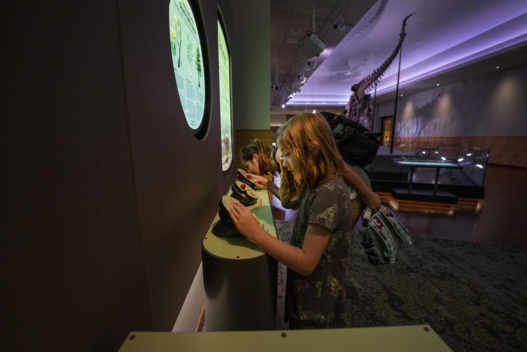 Thanks to research on fossil plants, Field Museum visitors can now experience what the Late Cretaceous forest traversed by Sue the T. Rex might have smelled like. (Martin Baumgaertner / Field Museum)