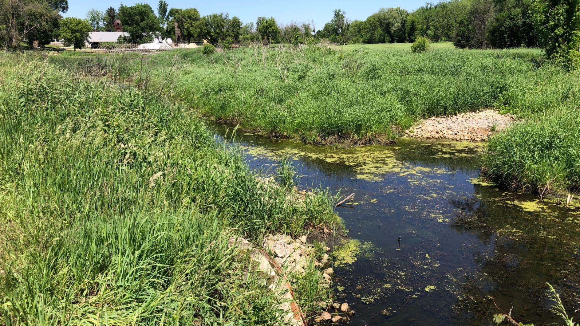 Drainage infrastructure at Thompson Road Farm. (Patty Wetli / WTTW News)