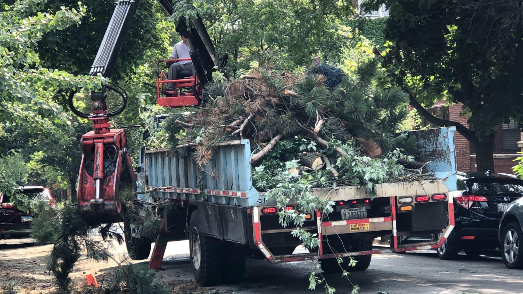 City forestry crews haul away tree debris in Andersonville. (Patty Wetli / WTTW News)