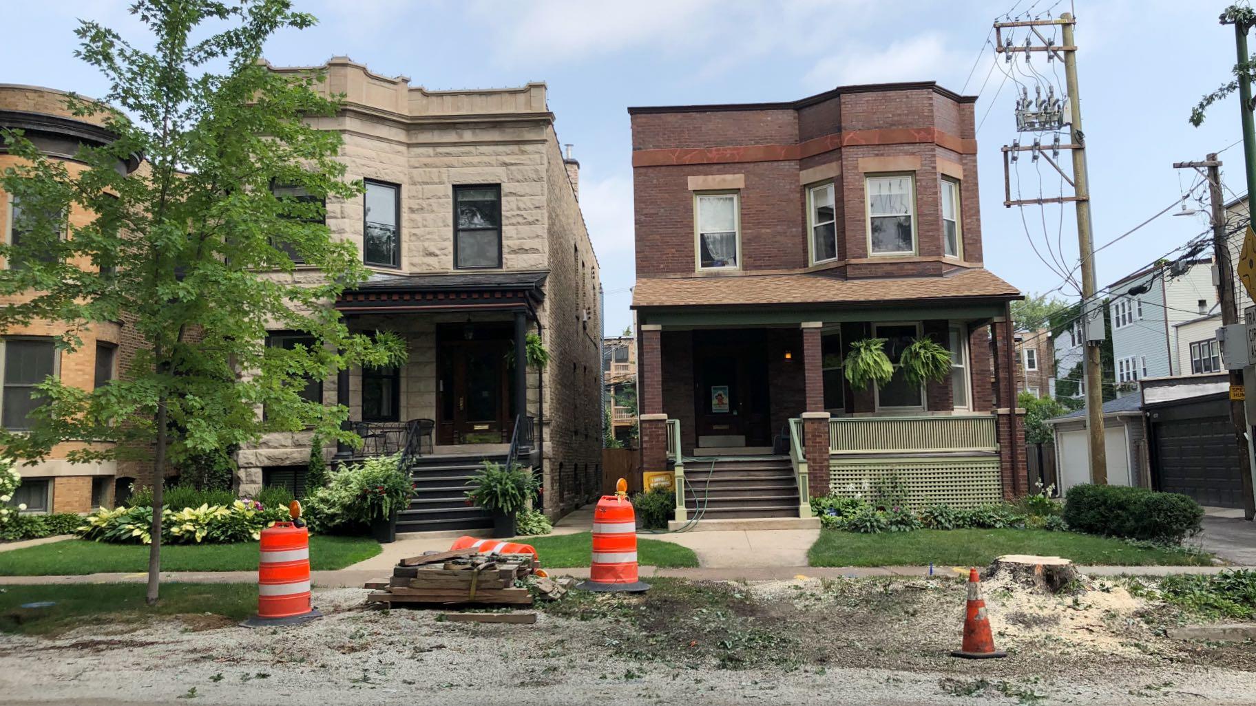 With a tree removed in front of the home on the right, Chicago has a new gap in its tree canopy cover. (Patty Wetli / WTTW News)