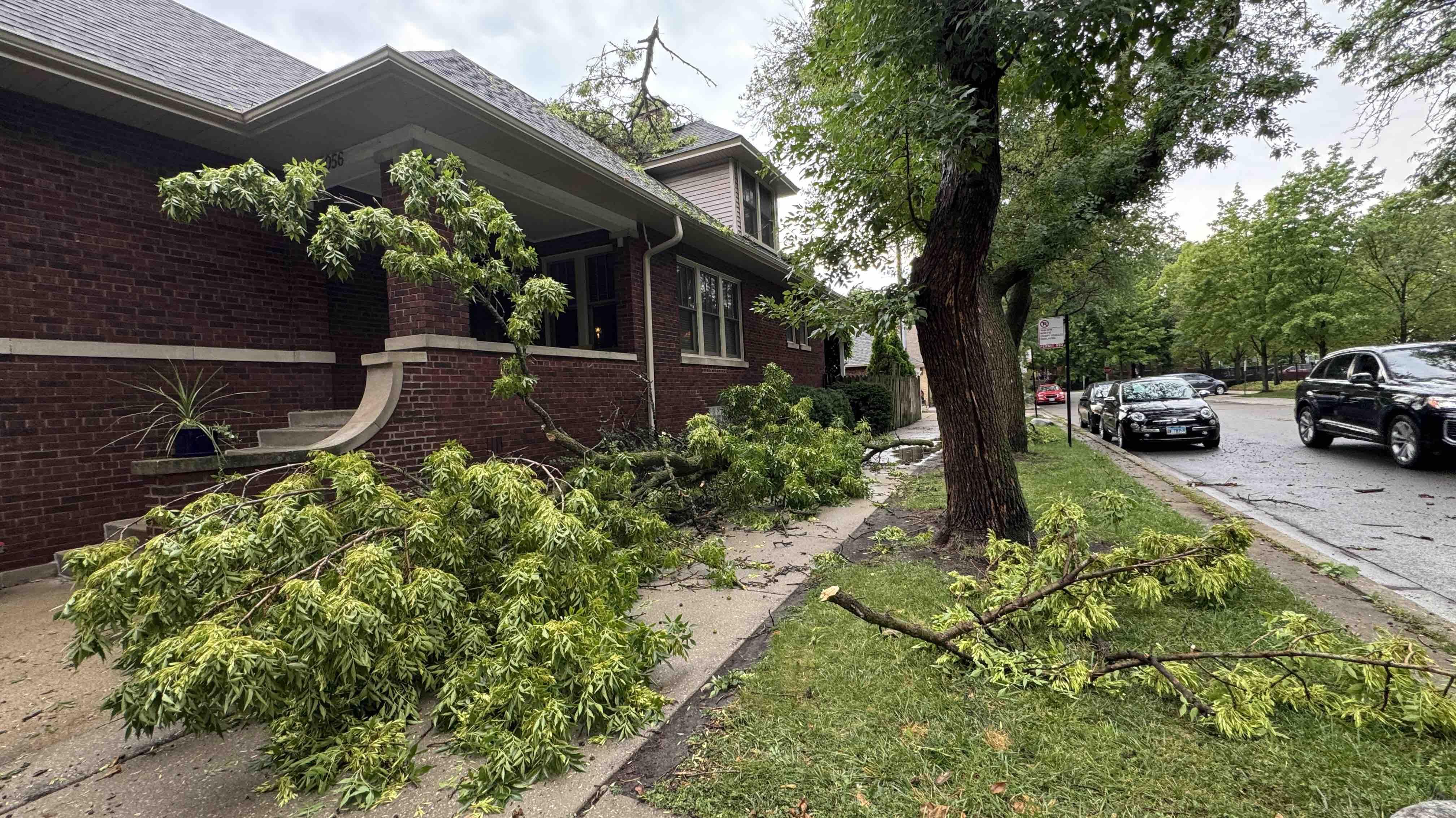 Nearly 2,000 tree emergencies were reported to Chicago's 311 system following powerful storms on July 27, 2026. Scenes like this street in Lincoln Square played out across the city. (Patty Wetli / WTTW News)