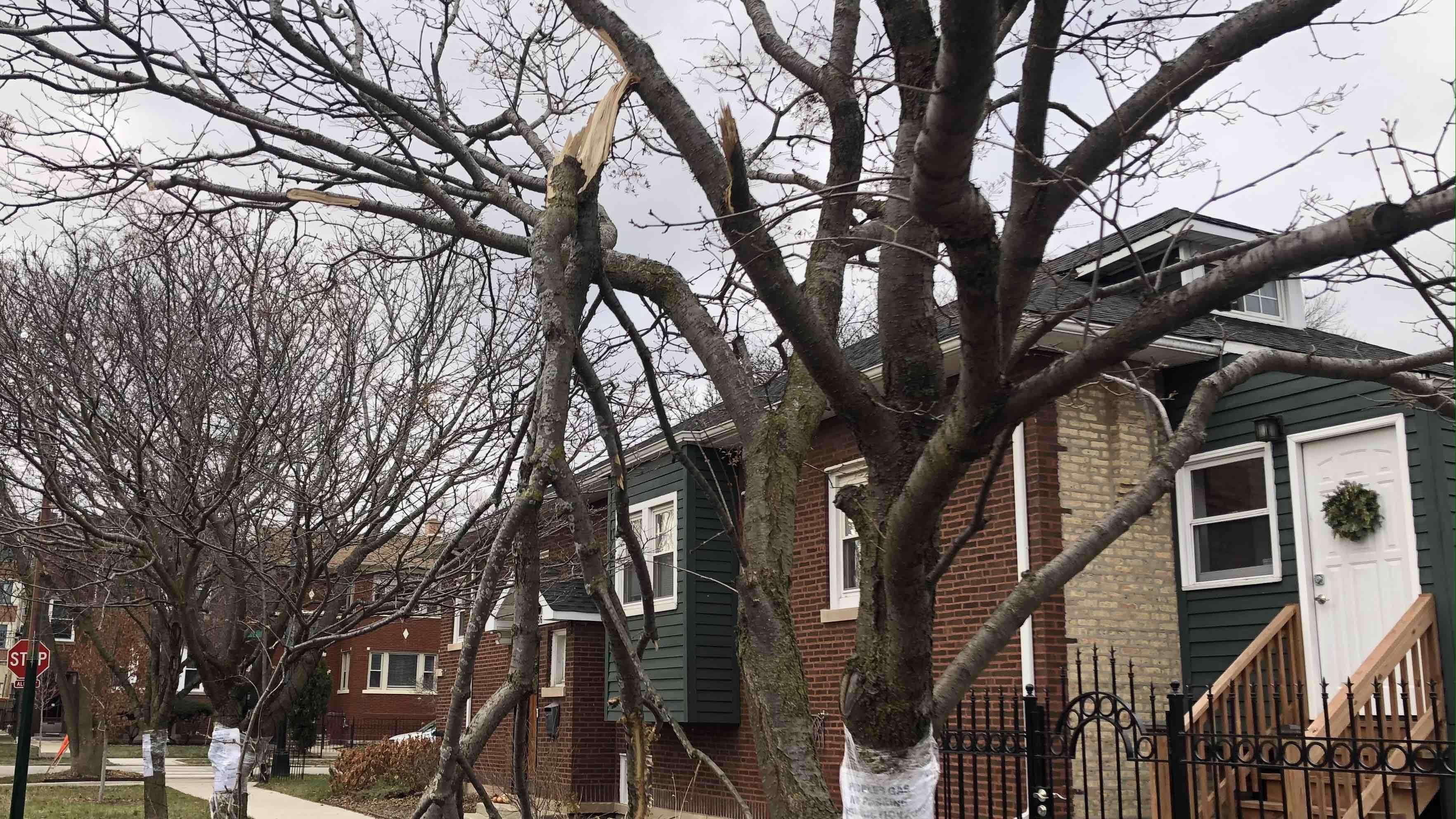 (Patty Wetli / WTTW News)