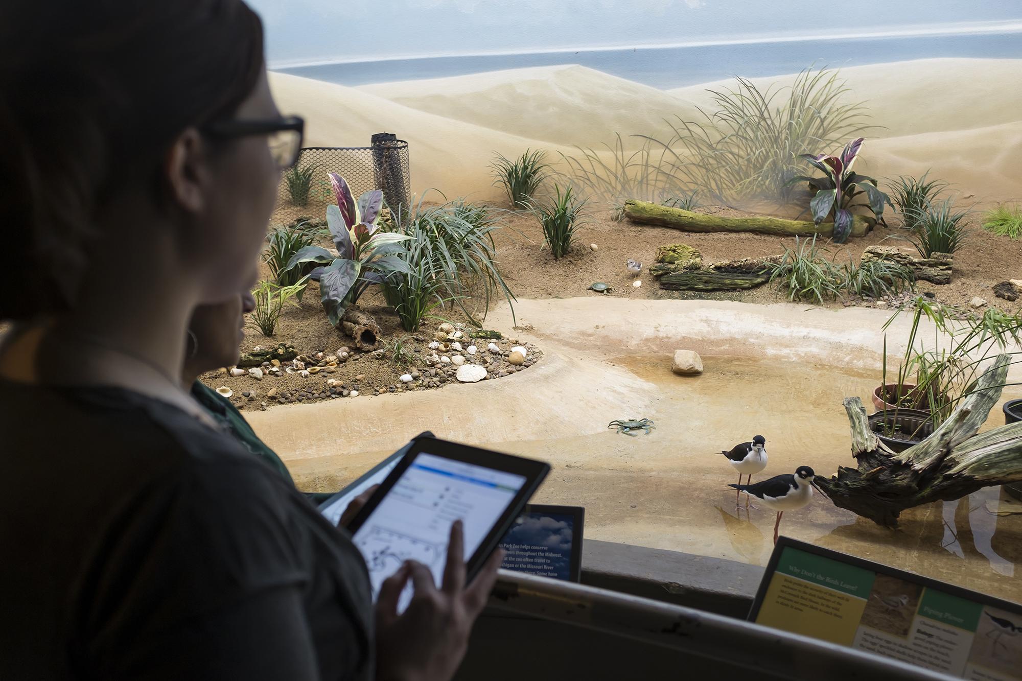 Animal behavior monitoring volunteers help Lincoln Park Zoo collect data using a mobile app. (Courtesy Lincoln Park Zoo)