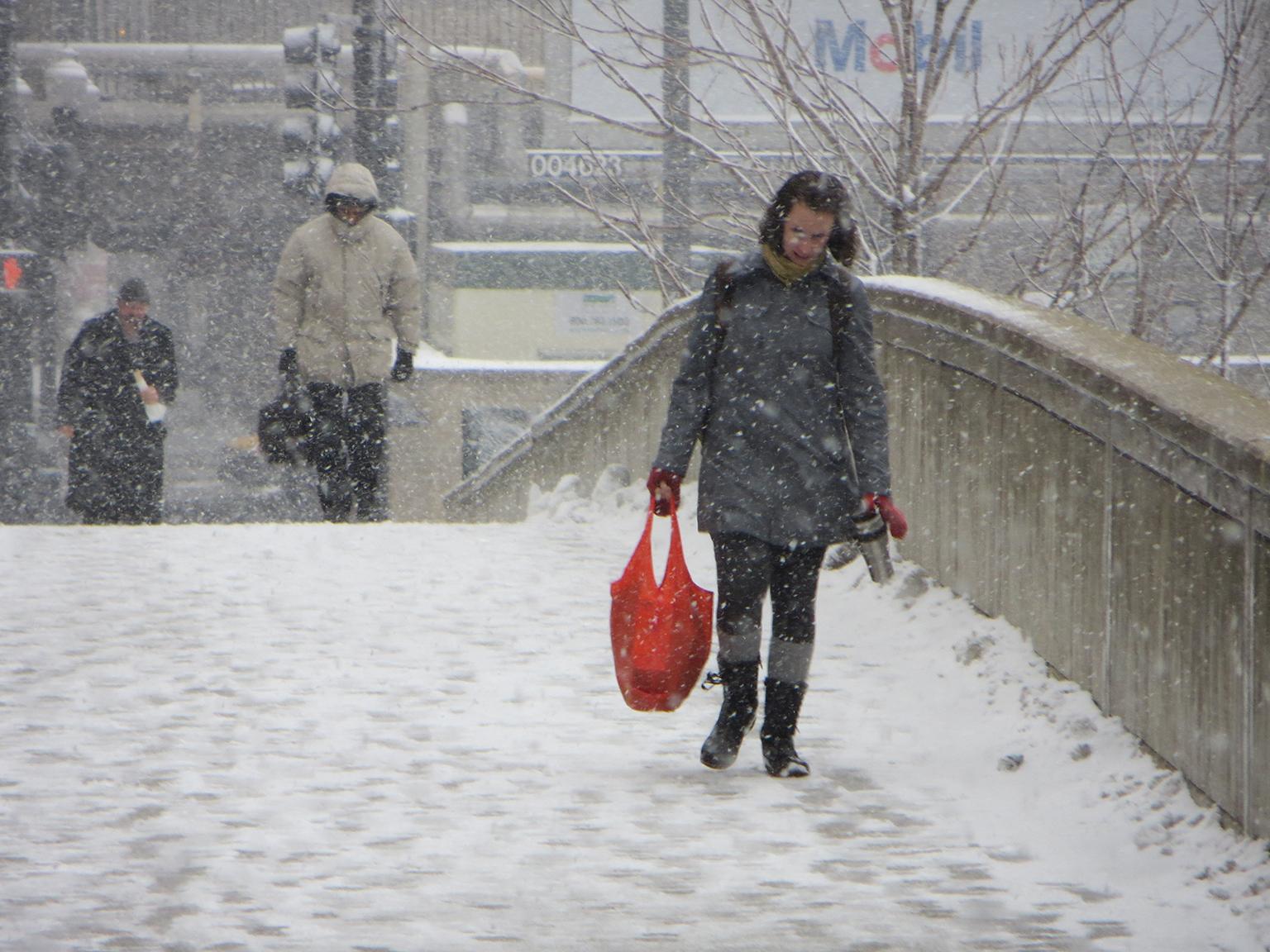 Winter in Chicago, 2013 (David Wilson / Wikimedia Commons)