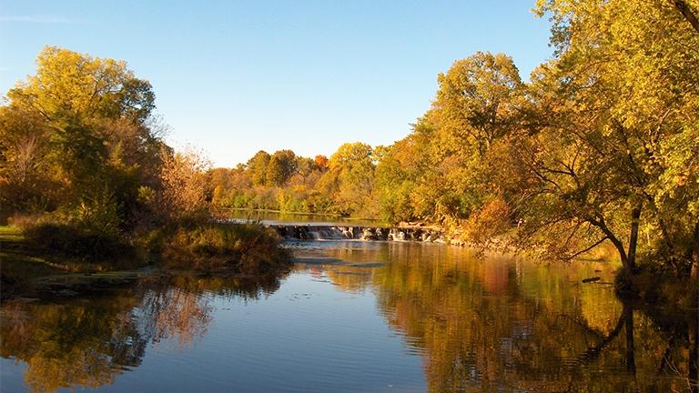 DuPage County, which includes Warrenville Grove Forest Preserve, is the healthiest county in Illinois, according to a recent report.