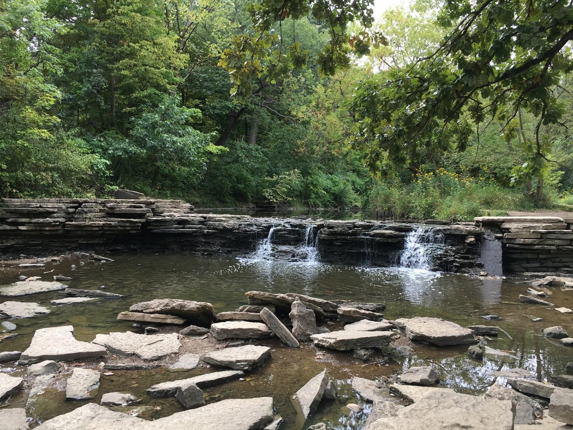 Waterfall Glen Forest Preserve (Enjoy Illinois)