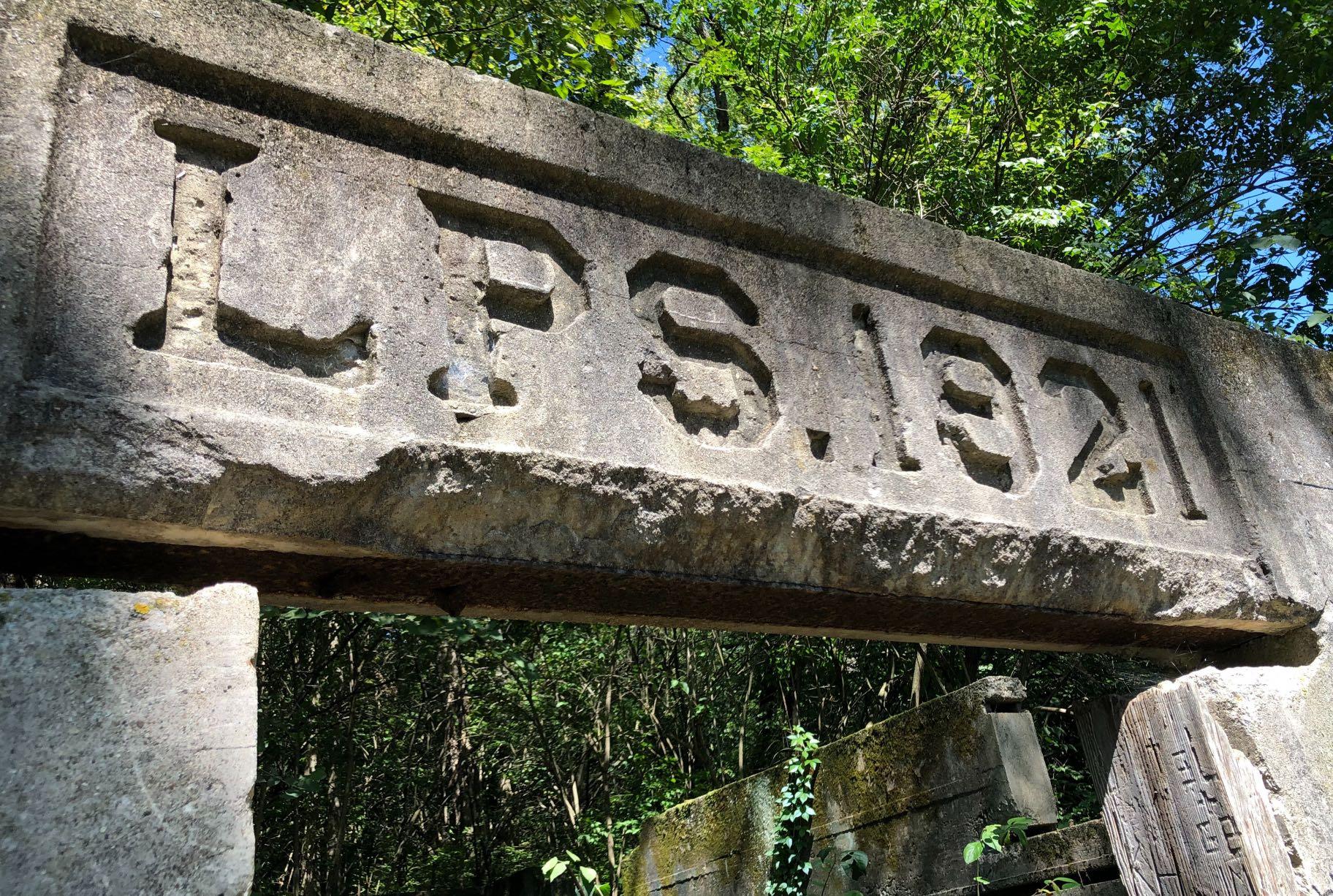 "LPS 1921" marks the spot where a nursery complex once encompassed a root cellar, barn, chicken coop, tool shed and outhouse. (Patty Wetli / WTTW News)