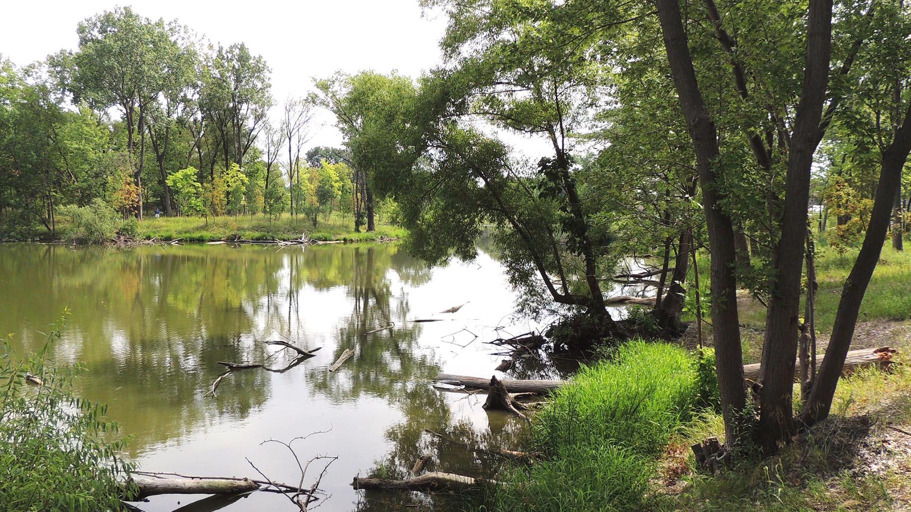 The 20-acre West Ridge Nature Preserve is temporarily closed. (John Iwanski / Flickr)