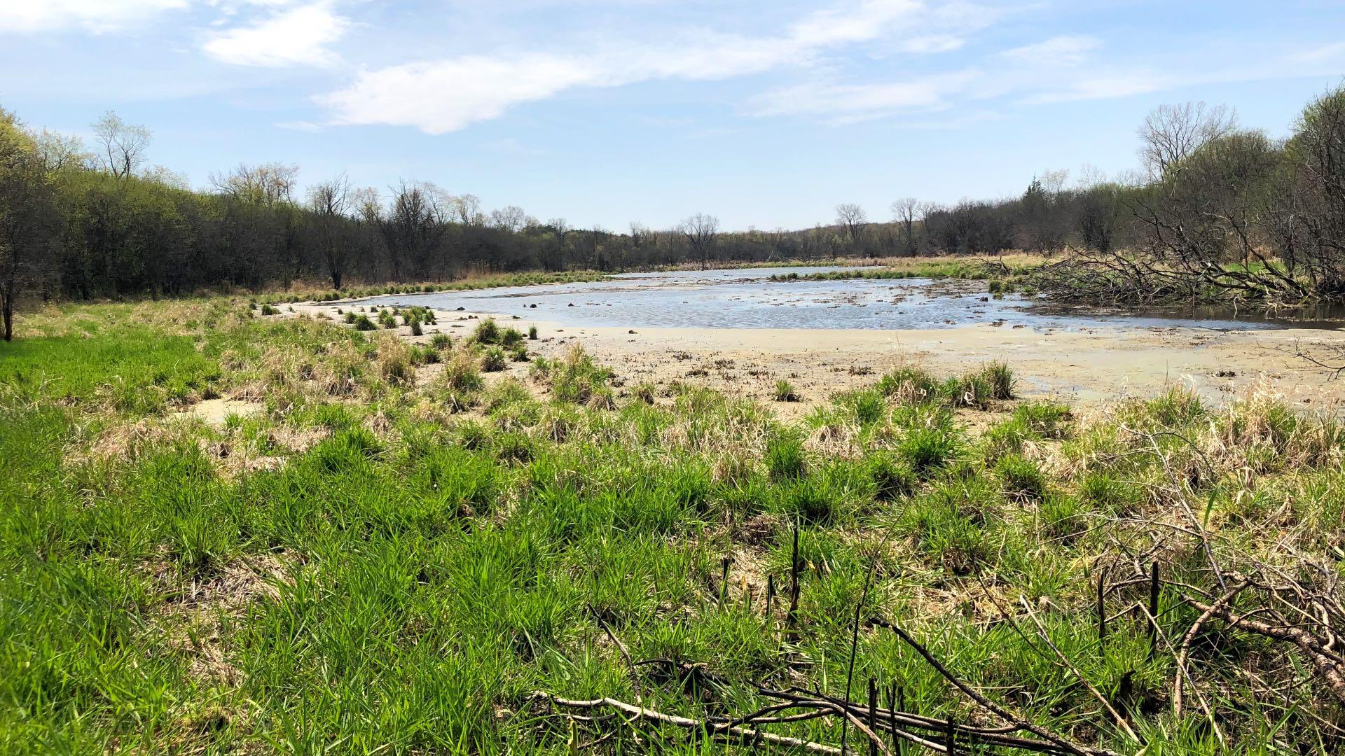 Wetlands were drained to make way for agriculture. In the process, their benefits to the ecosystem were lost, including filtering contaminants and supporting biodiversity. (Patty Wetli / WTTW News)