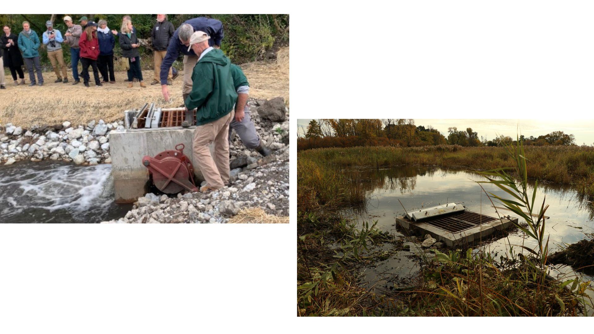 Left: Conservation workers use a water gauge to control water levels through waterways connecting Powderhorn Lake and Wolf Lake on Oct. 23, 2023. (Eunice Alpasan / WTTW News) Right: (Nicole Cardos / WTTW News)