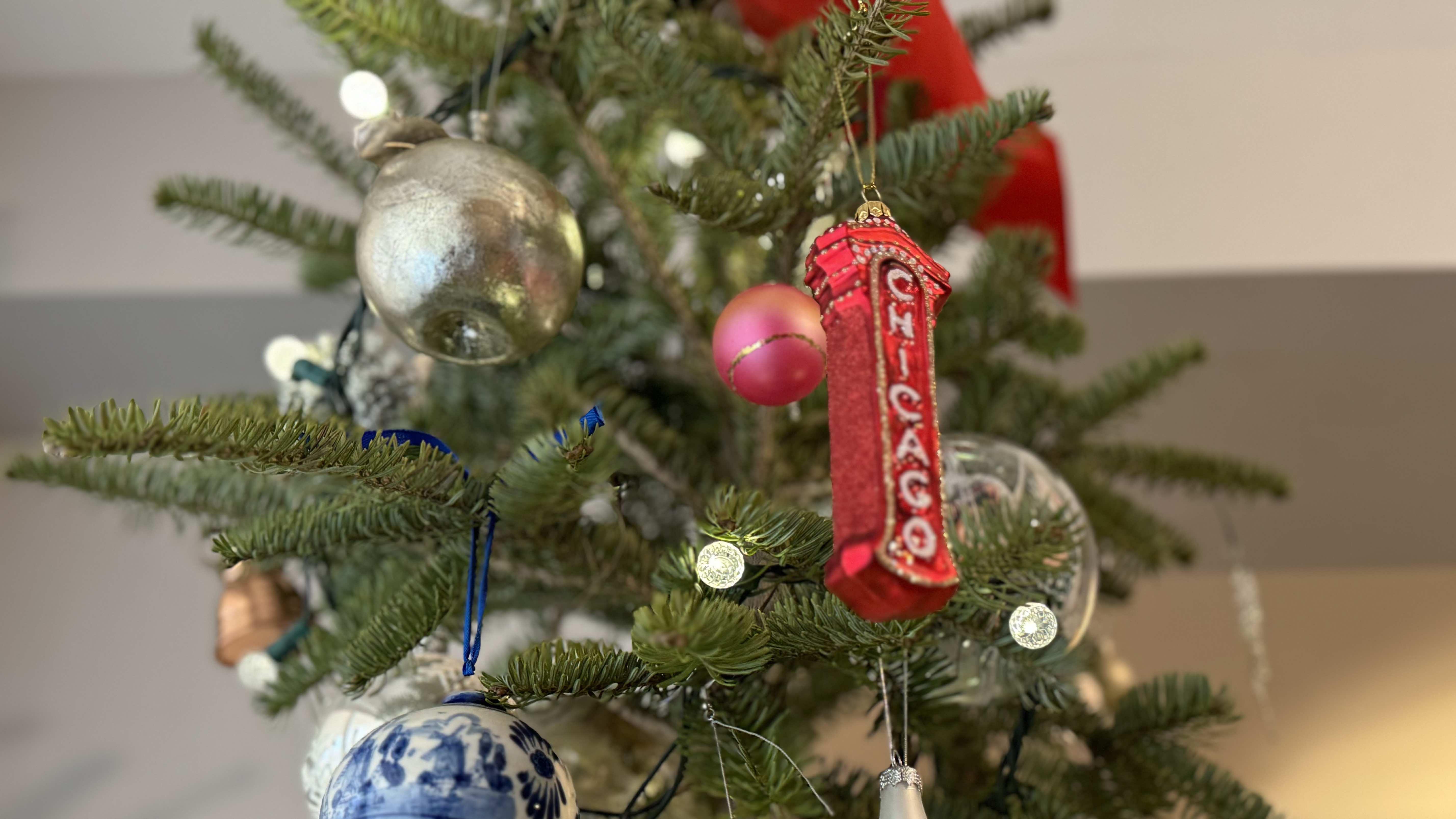 Give real Christmas trees a second life by recycling them. (Patty Wetli / WTTW News) Give real Christmas trees a second life by recycling them. (Patty Wetli / WTTW News)