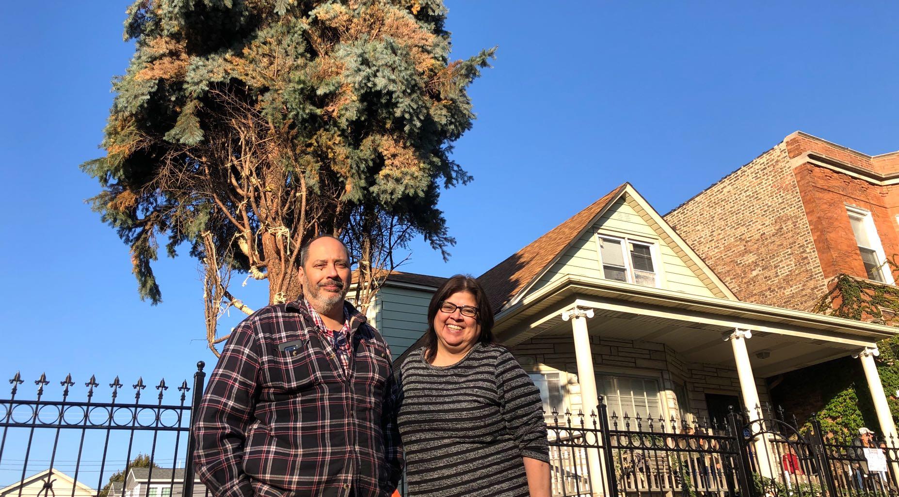 Mario and Noemi Benavides spend a few last moments with their blue spruce. (Patty Wetli / WTTW News)