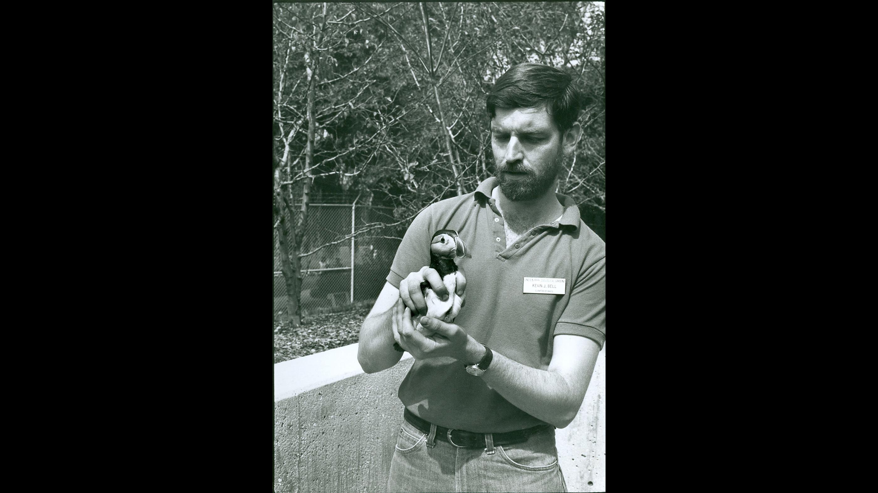 Current Lincoln Park Zoo President and CEO Kevin Bell shown here in 1981, when he was the zoo's curator of birds. (Courtesy Chicago Park District and Chicago History Museum)