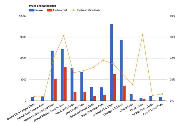 The graph above shows the euthanasia rate of cats and dogs at the larger open-door shelters in Cook County as reported by the shelters in 2014. (Courtesy of the Advocates for Chicagoland Animals)