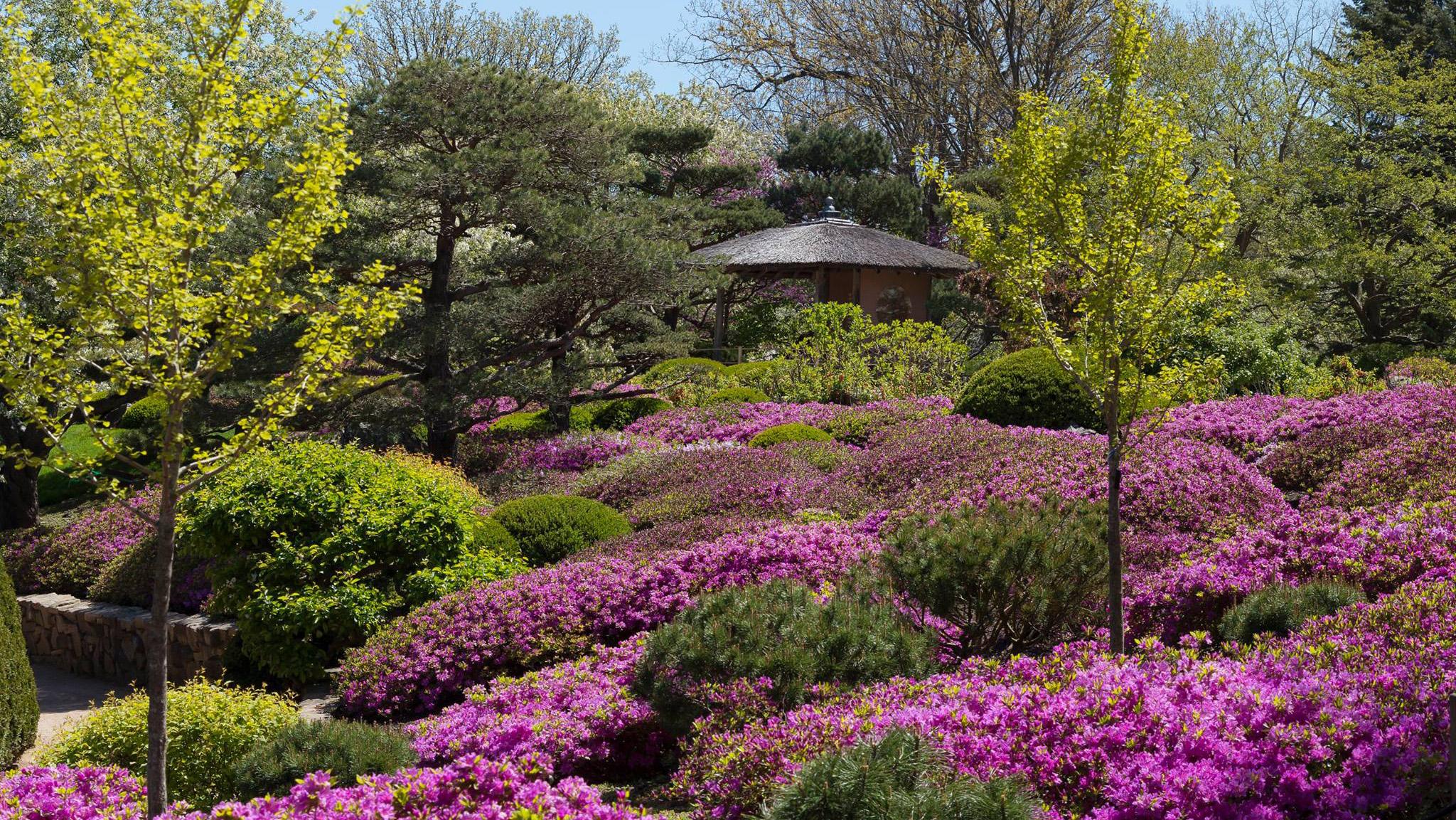 (Chicago Botanic Garden / Facebook)