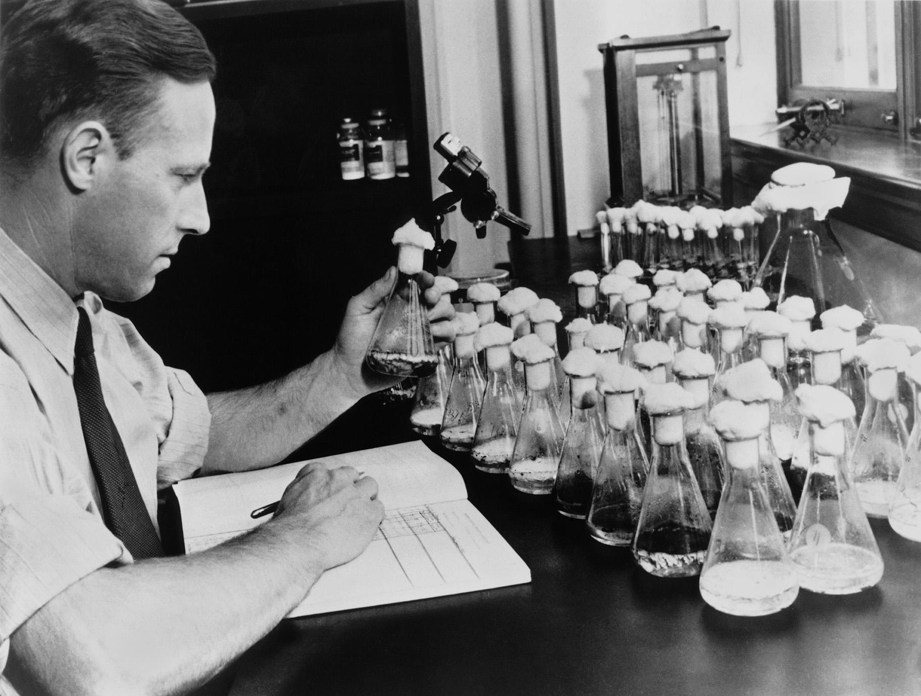 Andrew Moyer, in his Peoria laboratory, discovered the process for mass producing penicillin. (Credit: The Agricultural Research Service, U.S. Department of Agriculture)