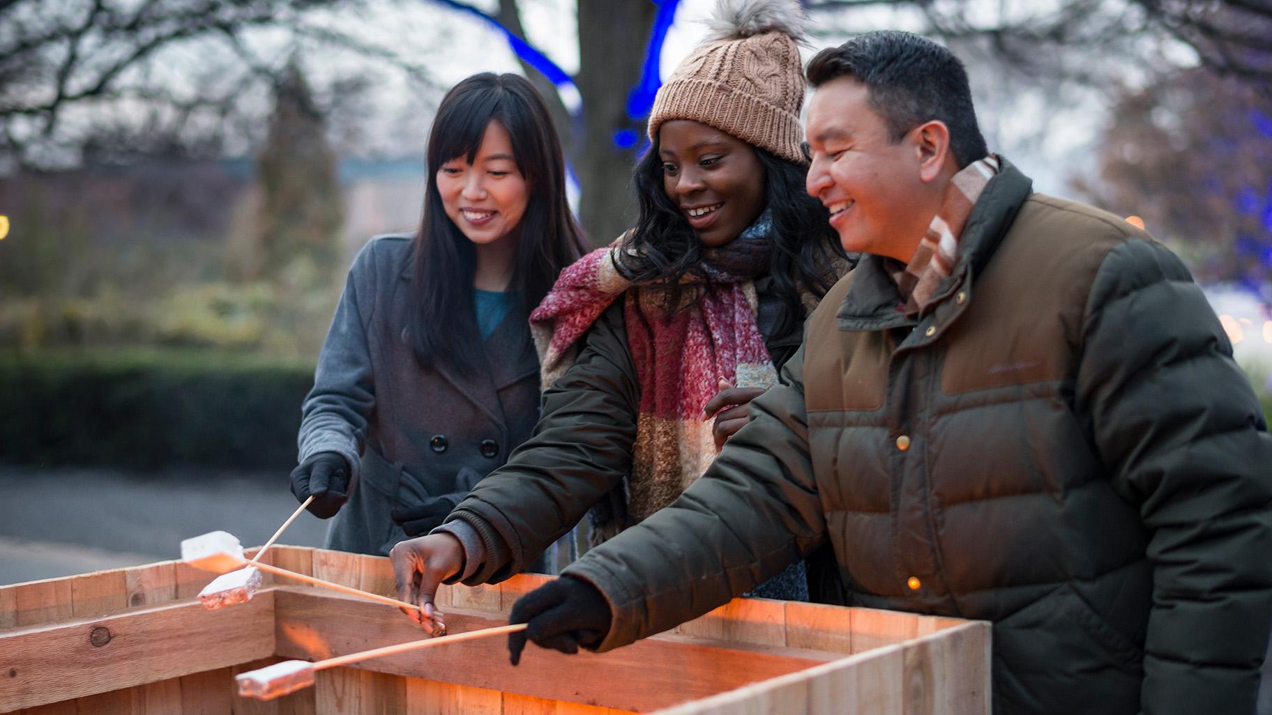 People roasting marshmallows at Lightscape. (Courtesy of Chicago Botanic Garden)
