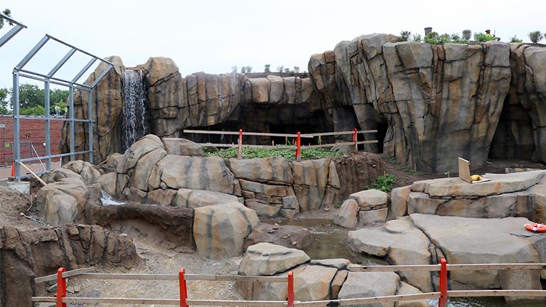 lincoln park zoo announces 125m campaign major exhibit plans