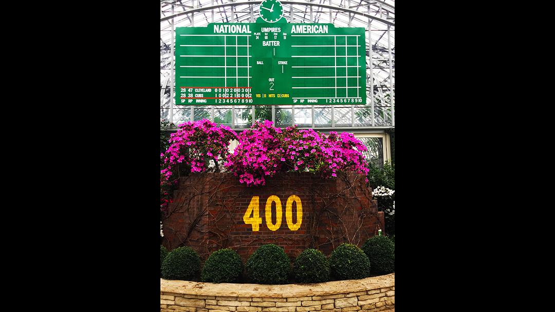 “Spring training” takes on a new meaning at the Garfield Park Conservatory. (Courtesy of Garfield Park Conservatory)