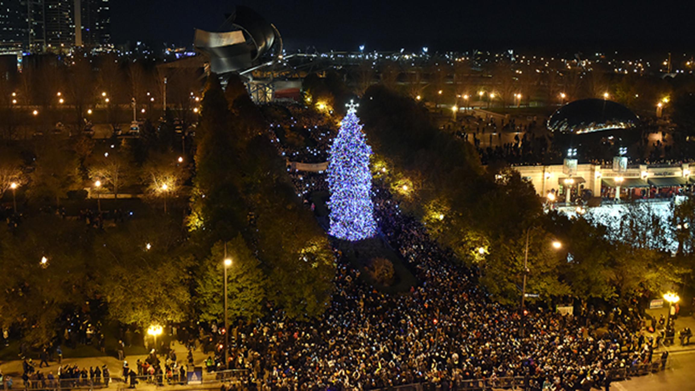 Fresh from Wauconda: The Scholla family donated this year’s tree, a 69-foot Norway spruce. (Courtesy of the City of Chicago)