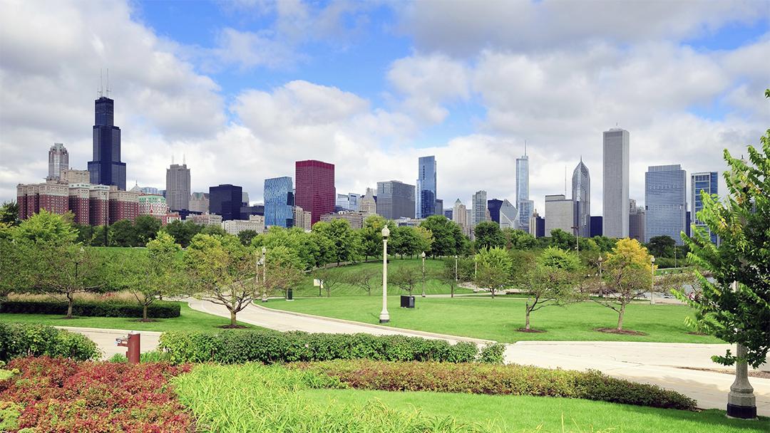 Chicago Parks Tee 