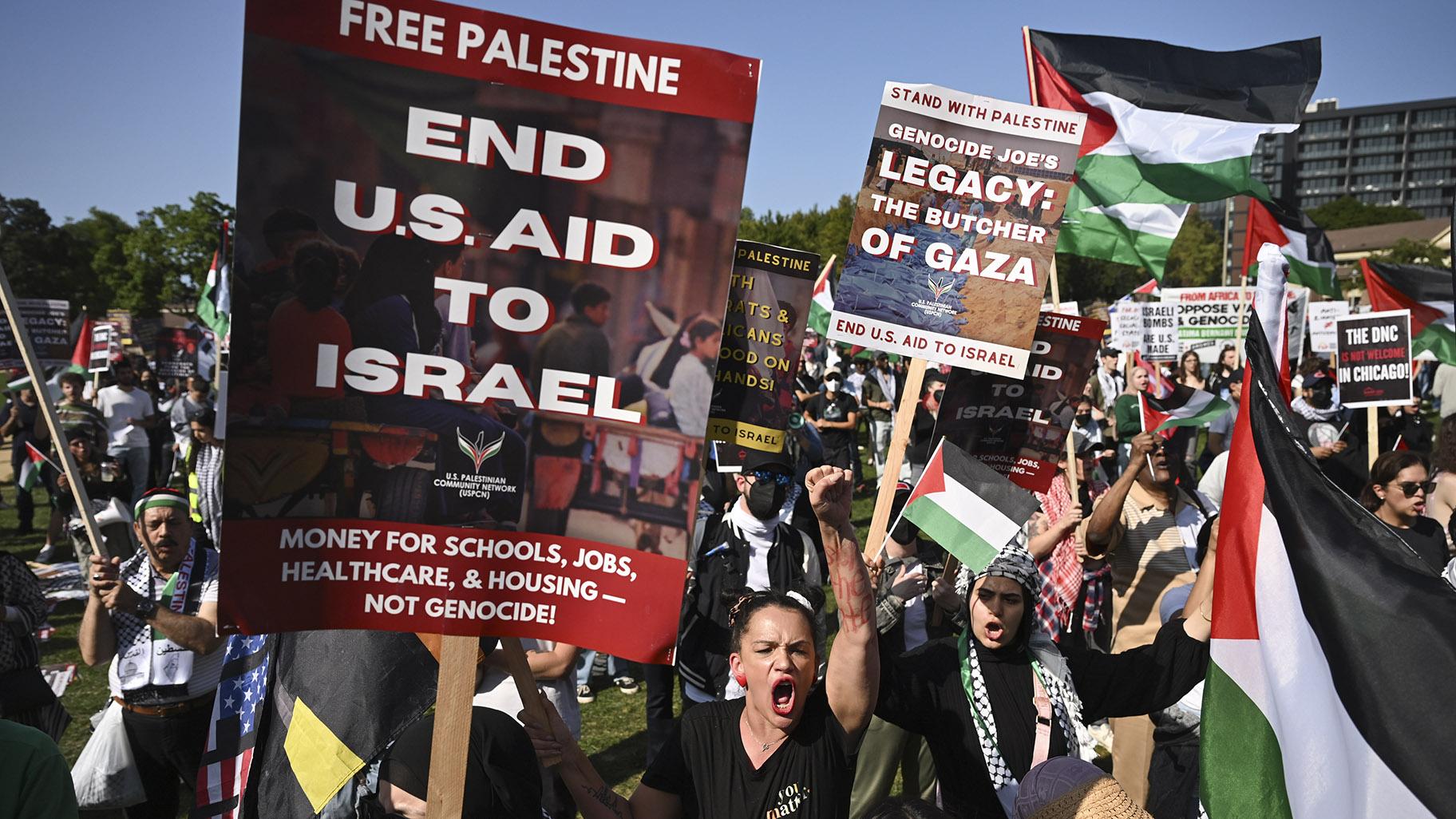 Protesters rally at a demonstration in Union Park during the Democratic National Convention Wednesday, Aug. 21, 2024, in Chicago. (AP Photo/Noah Berger)