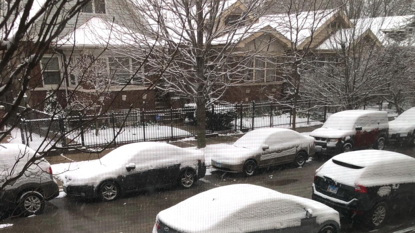 Spring snow expected in Chicago. (Patty Wetli / WTTW News)