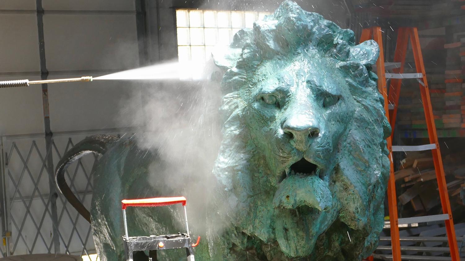 One of the Art Institute’s iconic lions receiving a “spa treatment.” (Courtesy of Art Institute of Chicago)