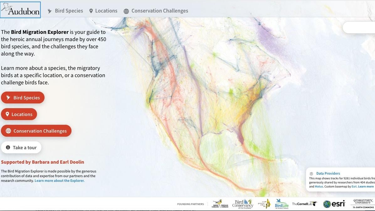 Audubon's Explorer platform illustrates migratory bird flyways in North America. (WTTW News)