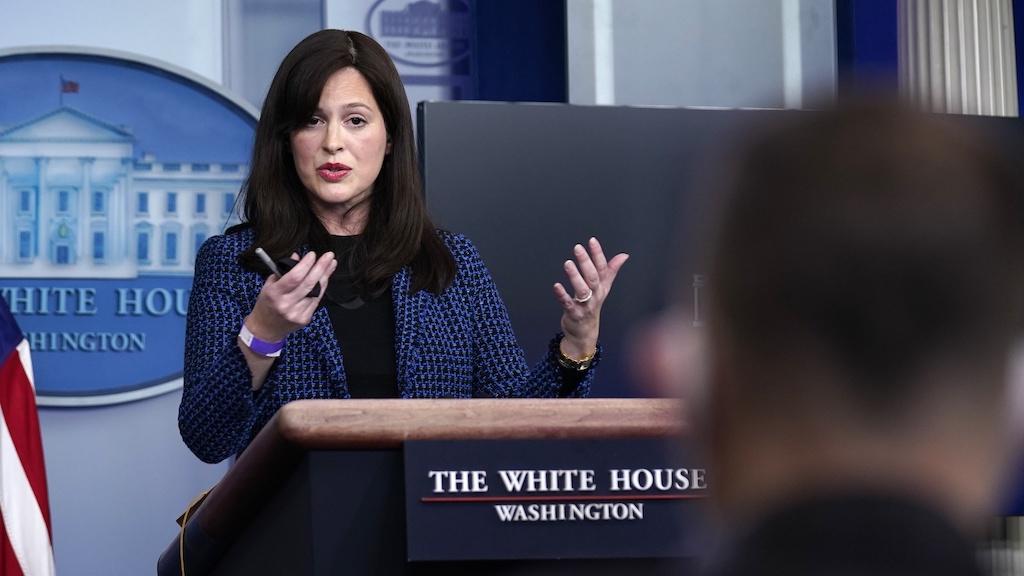 White House deputy national security adviser Anne Neuberger speaks during a press briefing, Wednesday, Feb. 17, 2021, in Washington. (AP Photo/Evan Vucci)