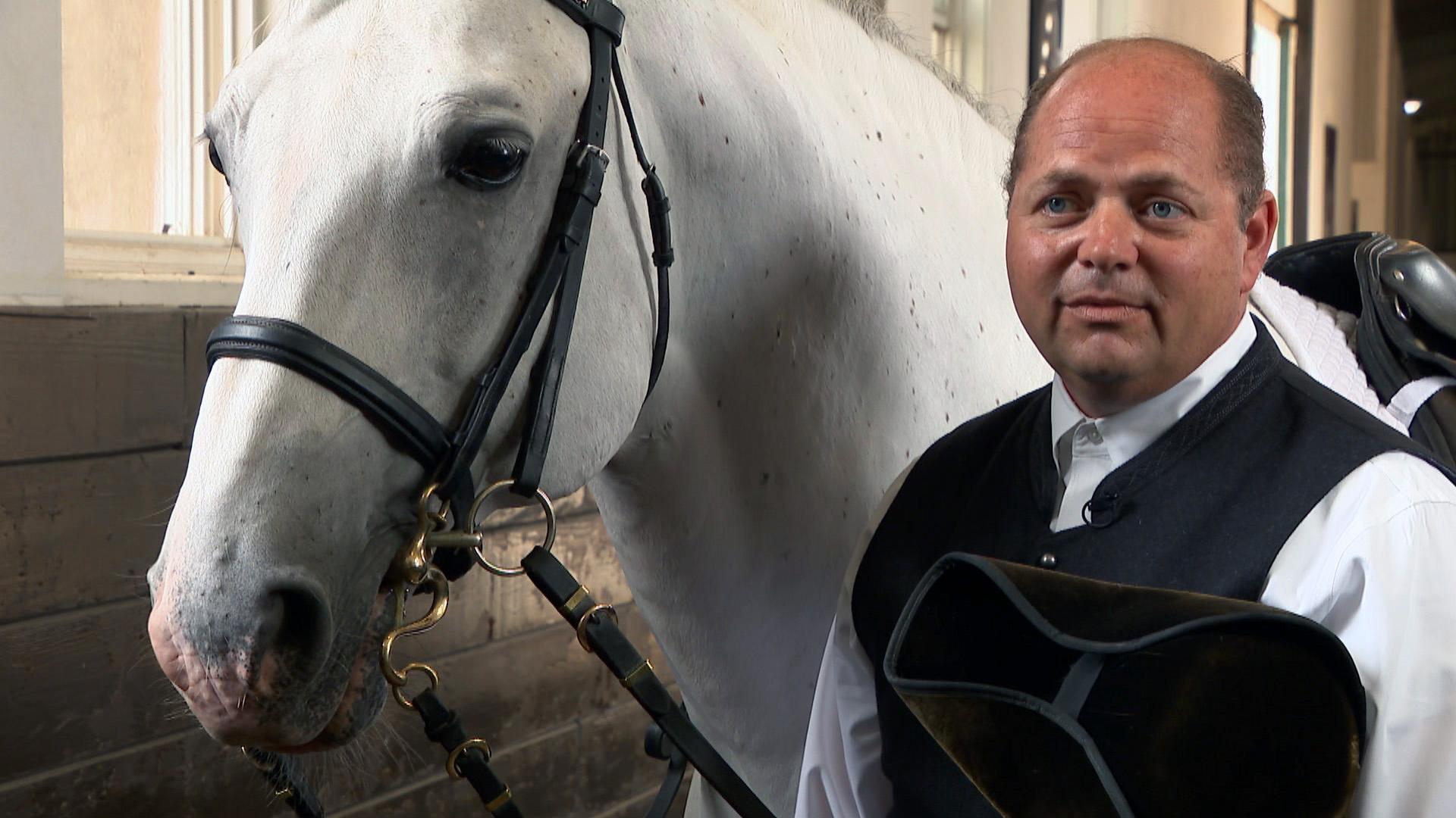 Bill Clements, head trainer at Tempel Farms. (WTTW News)