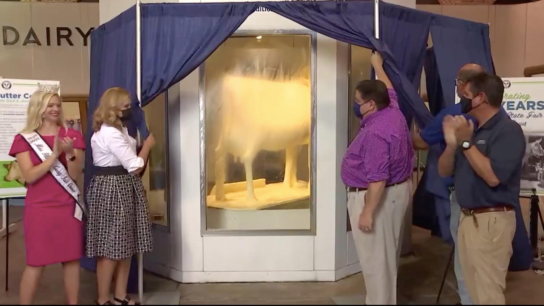 The Illinois State Fair Butter Cow is revealed on Wednesday, Aug. 11, 2021. (State of Illinois livestream)