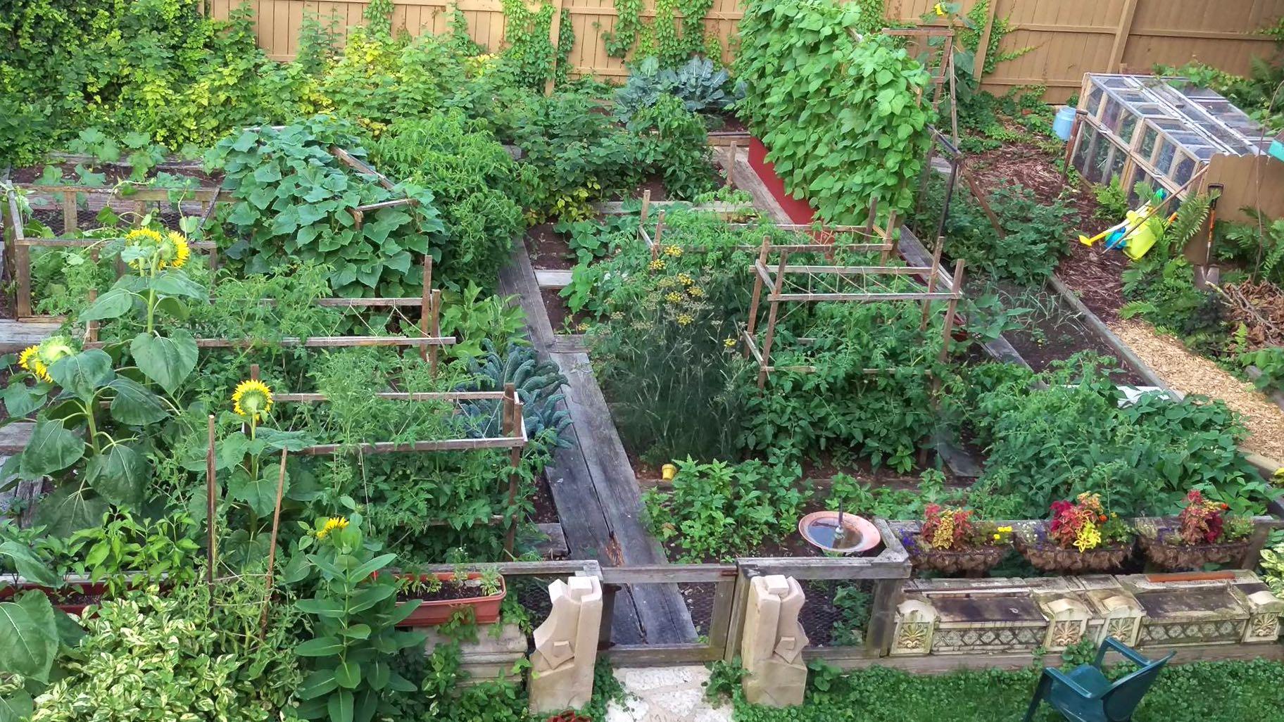 The Chicago Excellence in Gardening Awards honor the city's green thumbs, wherever they garden, whether back yards, parkways, patio containers or urban farms. (Chicago Excellence in Gardening Awards)