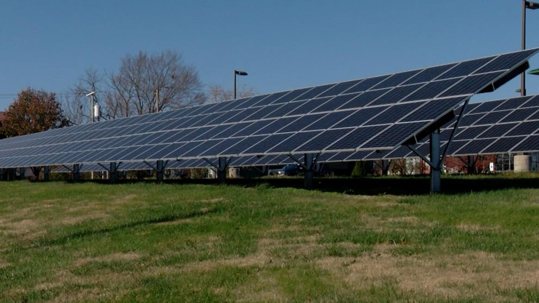 A solar farm in Carbondale, Illinois, in late 2024. (Andrew Campbell / Capitol News Illinois) A solar farm in Carbondale, Illinois, in late 2024. (Andrew Campbell / Capitol News Illinois)