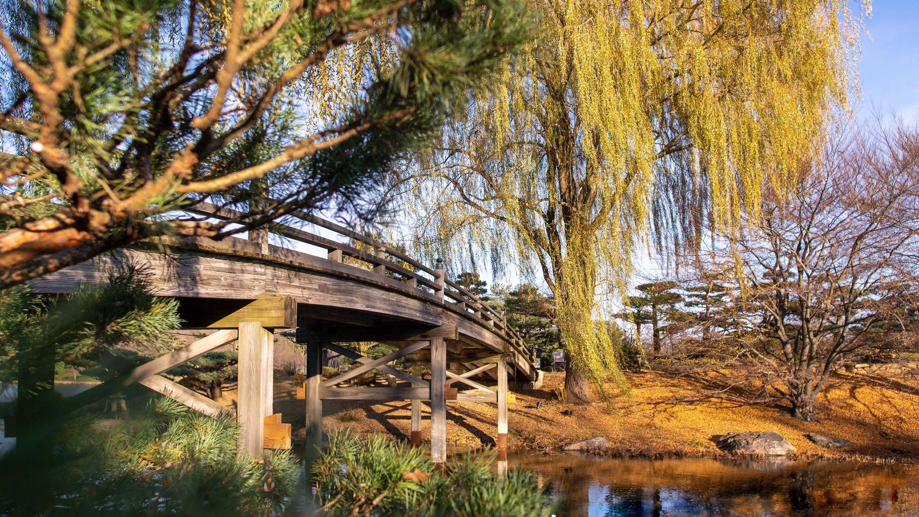 The Zen Garden  Chicago Botanic Garden